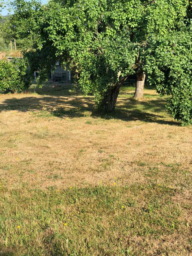 Апартаменты Ferienimspessart Og Бад-Зоден-Зальмюнстер Экстерьер фото